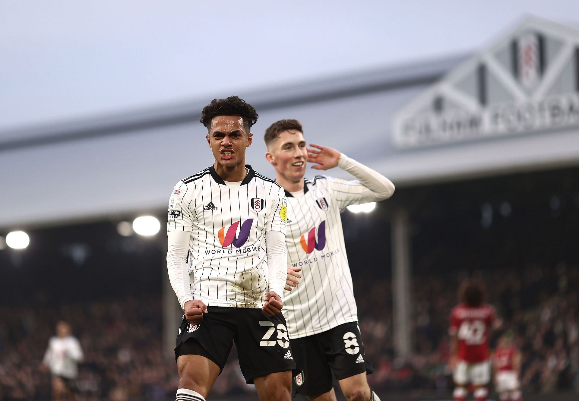 Fulham vs Bristol City - Sky Bet Championship